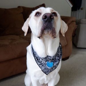 Meet your Posher, Jay ann